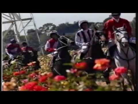 1999 Spring Racing Carnival _ Gai Waterhouse