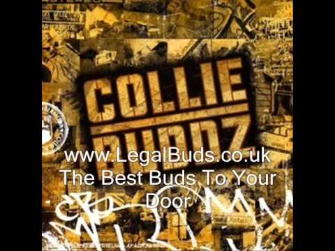 Collie Buddz - Young Girl