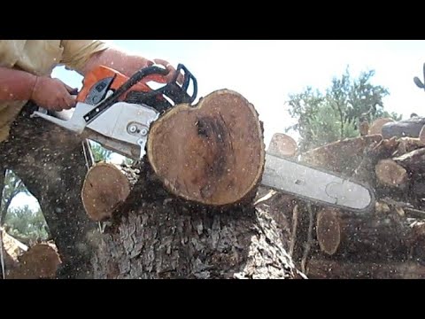 Holzfforma G660 Pro First cuts (clips)