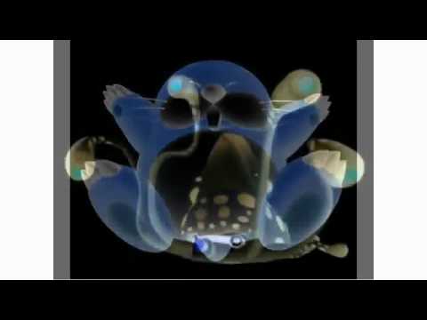 Negative Mario People