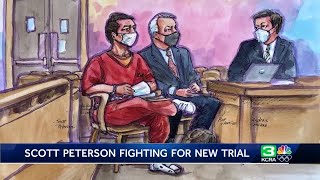 Juror in Scott Peterson murder trial may receive immunity