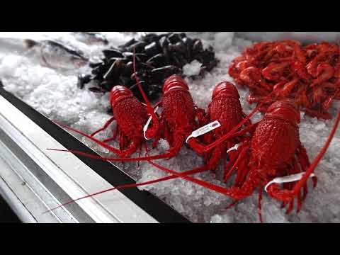 Enjoy fresh local seafood on the waterfront at JJ's At The Marina, Batemans Bay, NSW South Coast