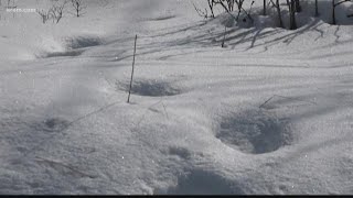 Some believe mysterious tracks in Medical Lake belong to Bigfoot?