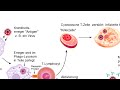 Johannes Jellinek Medical - HIV