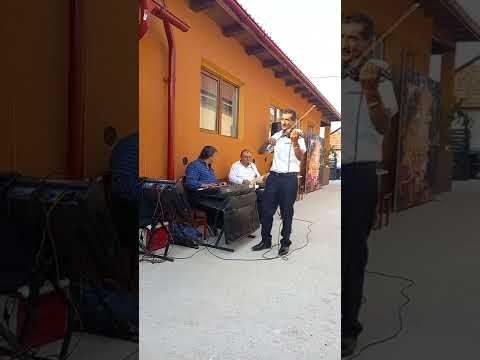 FLORIN ENOIU DE LA PÂRÂUL DE PRIPOR