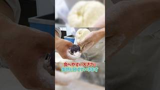 【にじさんじ×茨城県】ゆでまんじゅうになった男【佐伯イッテツ】#にじいばらき #shorts