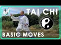 Tai Chi Basics 'Part The Horses Mane' Tutorial - Master Xingbo Tai Chi Basics 'Part The Horses Mane' Tutorial
