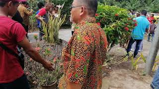 Download lagu Antara Adat kahwin suku kaum Mahmeri di Tg. Sepat (Koi) mp3