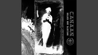 La simmetria del dolore