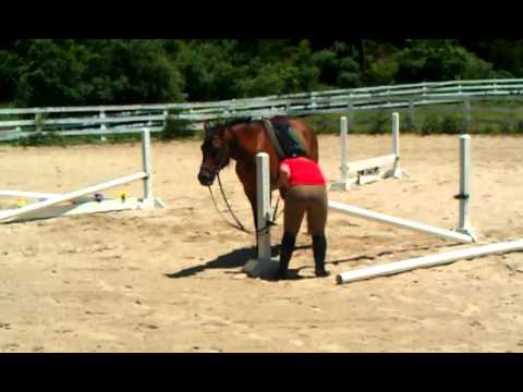 Drisana riding Ziggy.