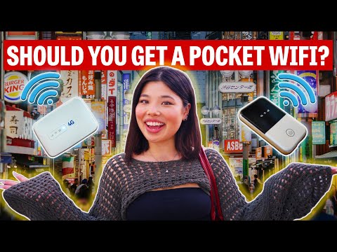Why Do So Many Japan Travelers Rent a Pocket WiFi Instead of Using Their Phone Plan?