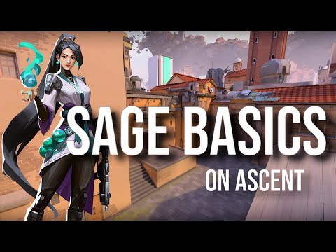 Sage Ascent Guide | Beginners Guide