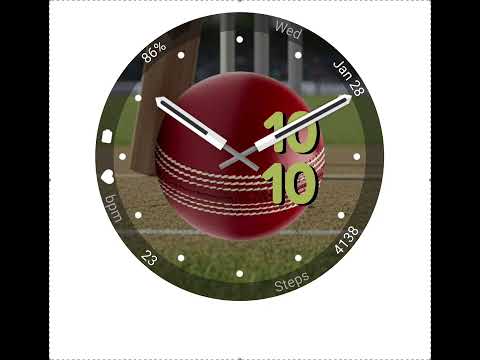 Cricket (Animated)