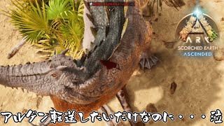 【ASA：Scorched Earth】【PS5】#18 アイランドのアルゲンをスコチに転送したい！【ARK Survival Ascended】
