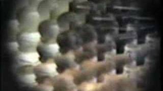 Fly on the Wall - xtc video