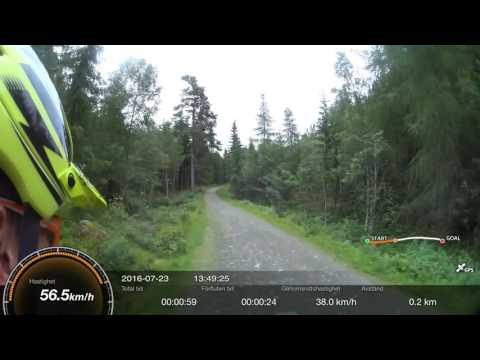 Hej vad det går mellan buskar & snår