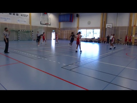 Viby Basket Dam - Husby