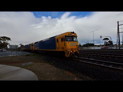 G525, G527, G519 5CM6. N466 “City Of Warrnambool”, PH452, FN9 8775. 3VL17, 3VL91 8794 At North Shore