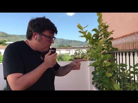 Noticias Puente de Génave