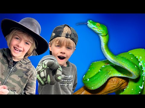 Exciting Snake Adventure | Animal Stories with Sky and Finn
