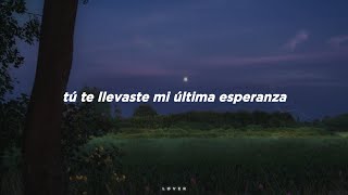 Sia - You Have Been Loved // Español