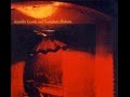 Jennifer Gentle and Kawabata Makoto ‎– Bring Them [Live in Gorizia]