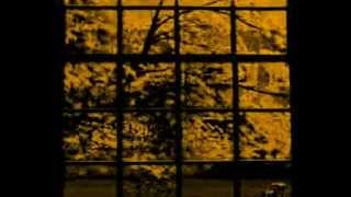 Neal Morse, It's all I can do