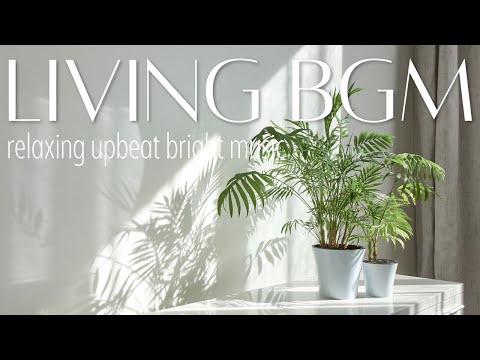 【作業用BGM】リビングで聴く🎶｜透明感のある優しいBGM｜暮らしを豊かにするBGM