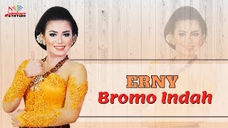 Download lagu Erny - Bromo Indah mp3