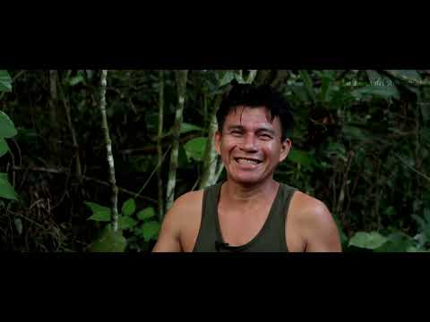 La Luna del Amazonas - Ayahausca retreats. Icaro by shaman Don Guido