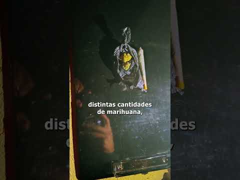 CIPOLLETTI: OPERATIVO PREVENTIVO EN FIESTA ELECTRÓNICA