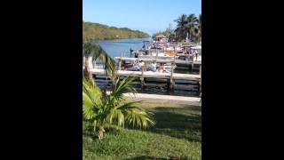 Black Point boat crash