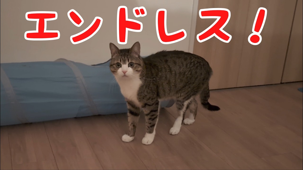 やりすぎですよね‥？ vol.1544