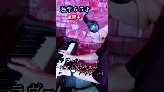 Download lagu 独学 自己流 ピアノ 65才 ラヴェル 亡き王女のためのパヴァーヌ #shorts 弾いてみた mp3 Download lagu 独学 自己流 ピアノ 65才 ラヴェル 亡き王女のためのパヴァーヌ #shorts 弾いてみた mp3