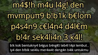 Download lagu pembantu bawa rejeki besar untukku #kisahnyata mp3