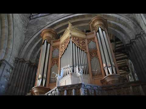 Virtual Organ Recital