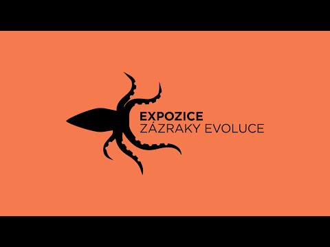 Náhled pro video reference