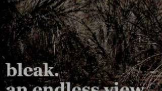 Bleak - An Endless View