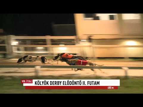 2023.09.29. 8. Futam - Kölyök Derby Elődöntő II. futam