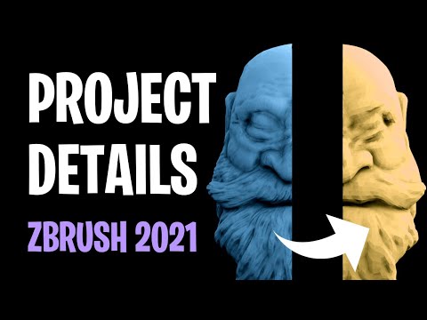 No Subdivision Levels? No Problem... Project Details in Zbrush 2021