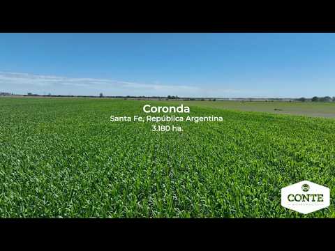 Conte Bienes Raices - Coronda 3180 ha