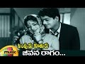 Pempudu Kuthuru Telugu Movie Video Songs Jeevana Ragam Full Video Song Devika Haranath NTR