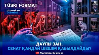 Бұралқы ит-мысықтарға бөлінген бюджет қайда кетіп жатыр, нәтиже неге жоқ? 
