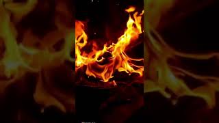 Download lagu #agni #agnitshorts #shots #shotsvideo #shotsfeed #shotsviral #shots_video mp3 Download lagu #agni #agnitshorts #shots #shotsvideo #shotsfeed #shotsviral #shots_video mp3