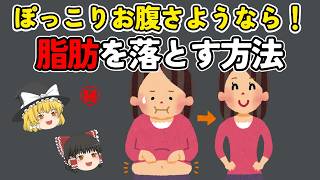 下腹スッキリ！ぽっこりお腹さようなら‼お腹周りの脂肪を落とす方法【ゆっくり解説】