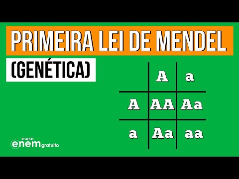 PRIMEIRA LEI DE MENDEL | GENÉTICA.. Resumo de Biologia Enem. Profe. Juliana Evelyn Santos