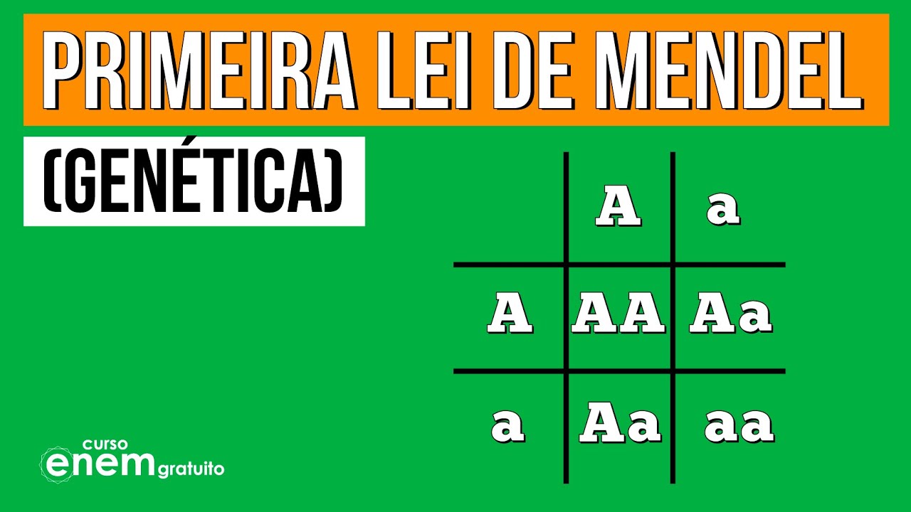 PRIMEIRA LEI DE MENDEL | GENÉTICA.. Resumo de Biologia Enem. Profe. Juliana Evelyn Santos