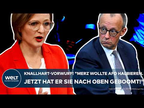 DEUTSCHLAND: "Merz wollte die AfD halbieren. Jetzt hat er sie nach oben geboomt!" - Brantner