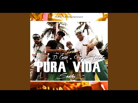 Pura Vida Seeds (feat. Pipo Ti, Crypy & D. Carter)