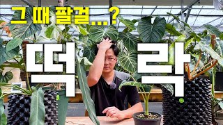 식테크 붐 타서 하우스 차린 30대 사장님의 최후...